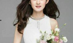 娱乐爆料四字女星,揭秘娱乐圈背后的风云变幻